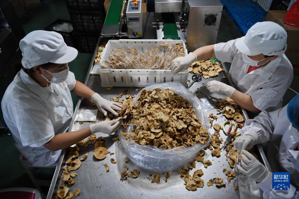 名豪娱乐
